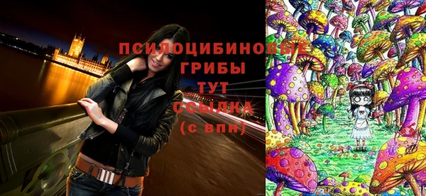 винт Каменка