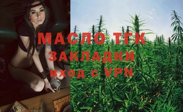 винт Каменка