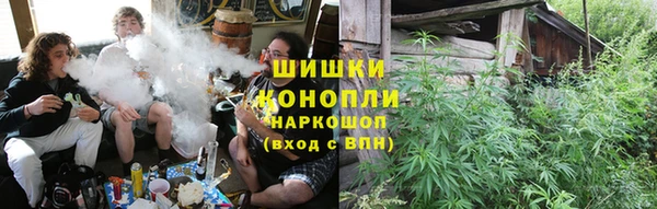 винт Каменка