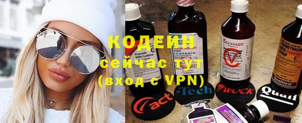 винт Каменка