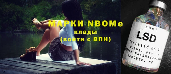 винт Каменка