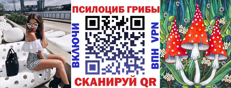 где можно купить наркотик  Санкт-Петербург  Псилоцибиновые грибы MAGIC MUSHROOMS 